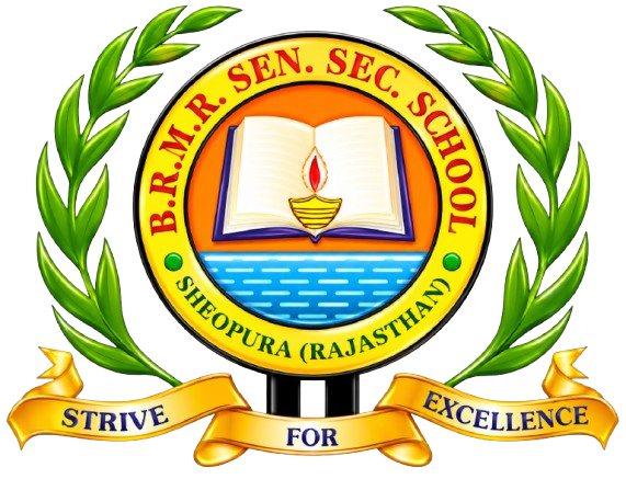 BRMR School